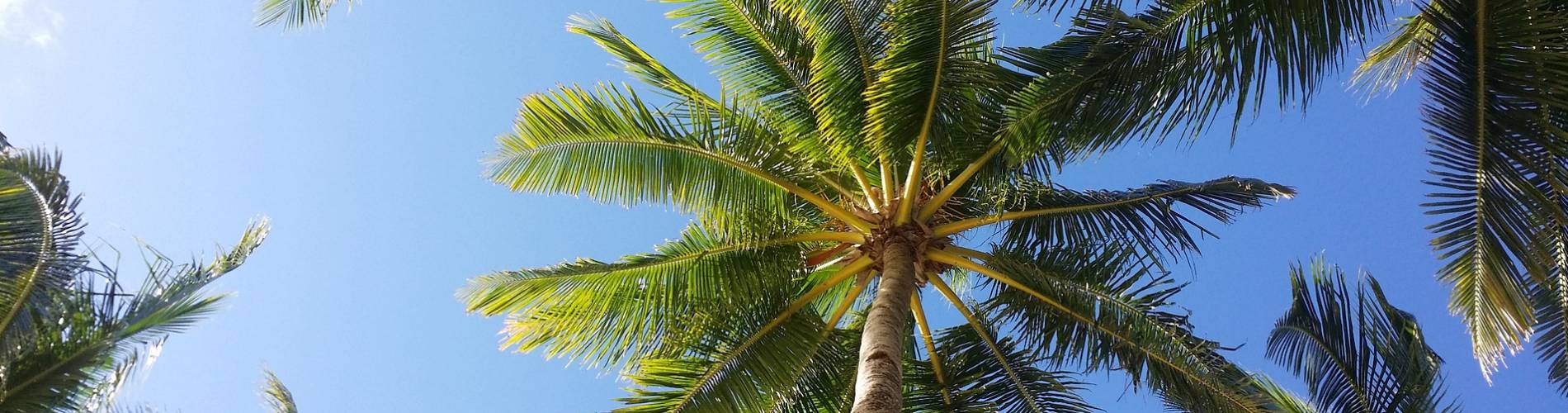 Caybeach Offers Caybeach Offers