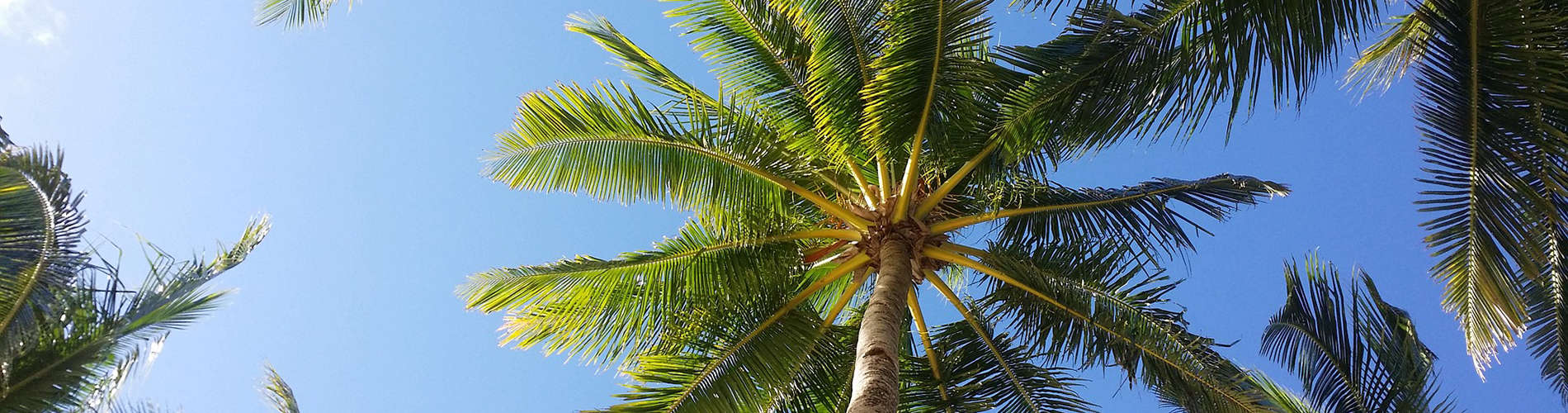 Caybeach Caybeach